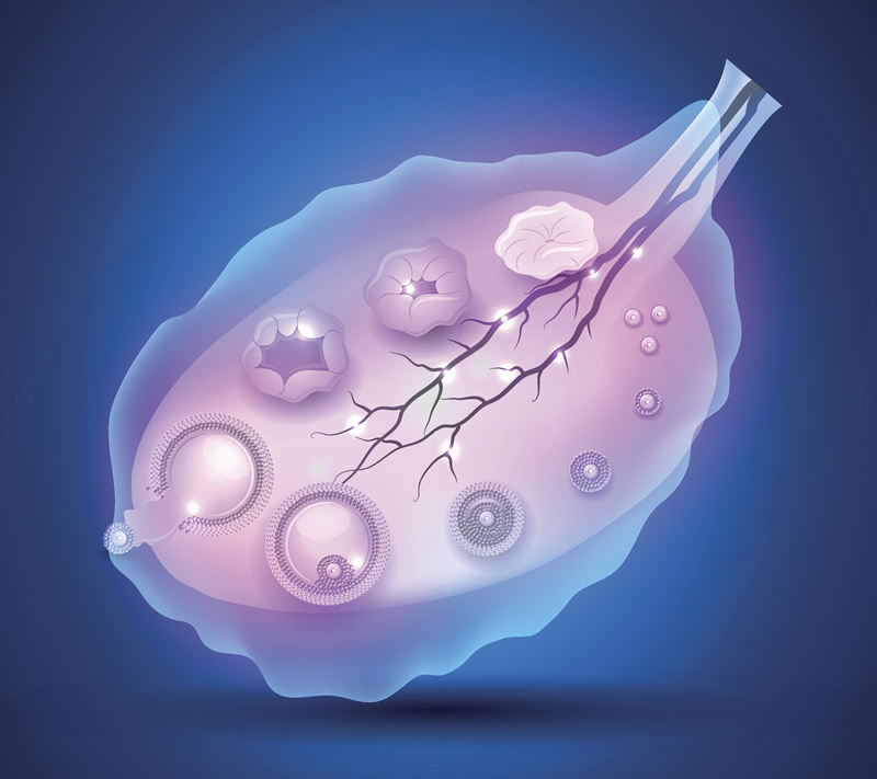 2026年南京试管双胞胎医院选择指南：附、费用解析与前十机构口碑对比